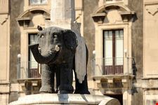 catania fontana dell elefante