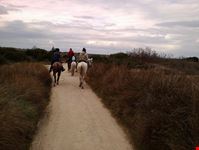 Escursioni a cavallo