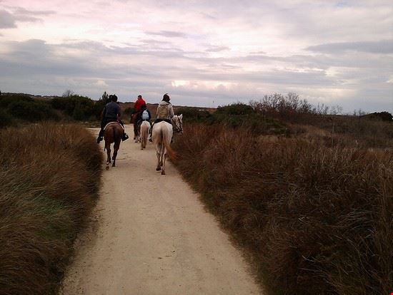 Escursioni a cavallo - Escursioni a cavallo - ©sarabrag - ©sarabrag - CC BY-NC 2.0