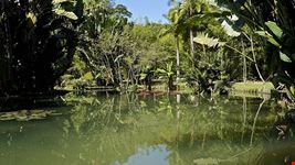  giardino botanico