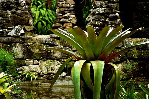  giardino botanico