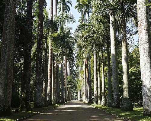  giardino botanico