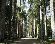  giardino botanico