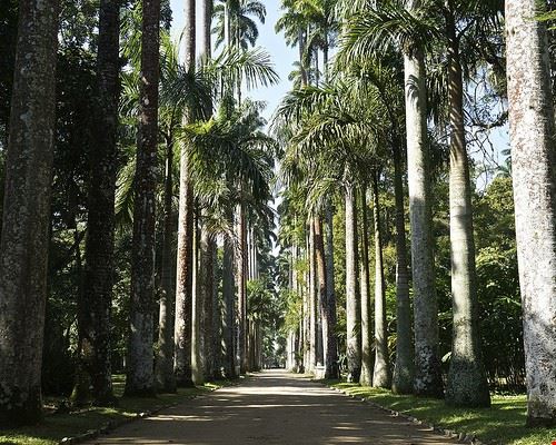 Giardino Botanico Rio de Janeiro alobos Life - Attribution-NonCommercial-NoDerivs (http://creativecommons.org/licenses/by-nc-nd/2.0/) alobos Life