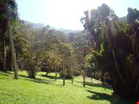  parco tjiuca