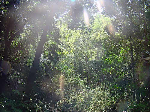  parco tjiuca