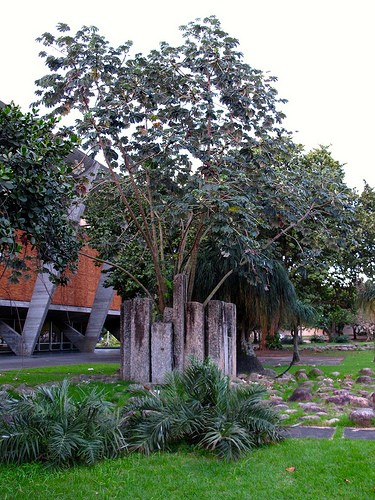  museo di arte moderna