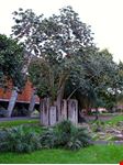  museo di arte moderna