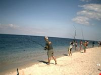 pesca al tonno da agosto