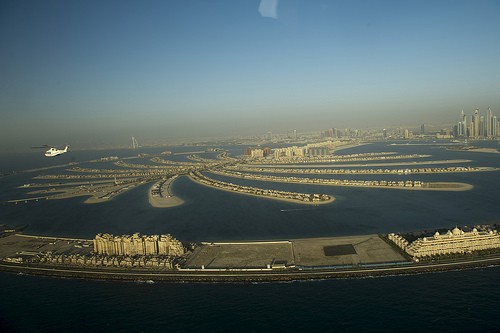  palm island