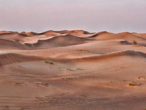 Deserto - zbigphotography - zbigphotography - Attribution-NonCommercial-NoDerivs (http://creativecommons.org/licenses/by-nc-nd/2.0/)