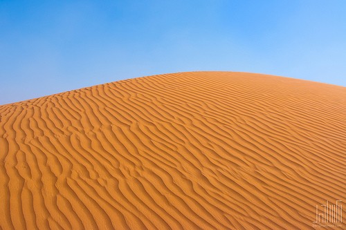  deserto