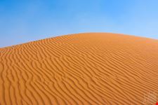  deserto