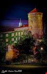  castello del wawel