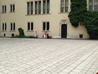  cattedrale di wawel