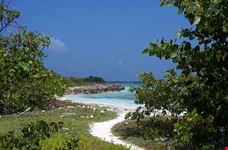 Spiaggia bianca