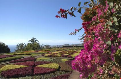 giardini botanici - Bernd Wittelsbach  - Bernd Wittelsbach  - ©Shutterstock