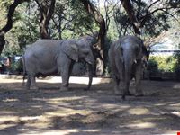  zoo