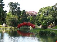  jardin japones
