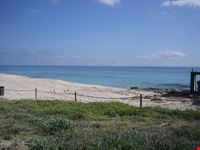  spiaggia di migjorn