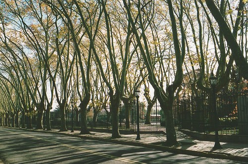  belgrano