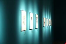  museo di arte latino americana di buenos aires