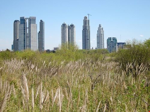 Reserva Ecologica Buenos Aires MiguelVieira - Attribution License (http://creativecommons.org/licenses/by/2.0/) MiguelVieira