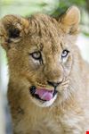  zoo