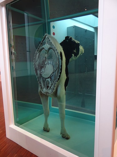  museo di arte moderna-arken