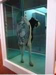  museo di arte moderna-arken