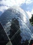 The Gerkin