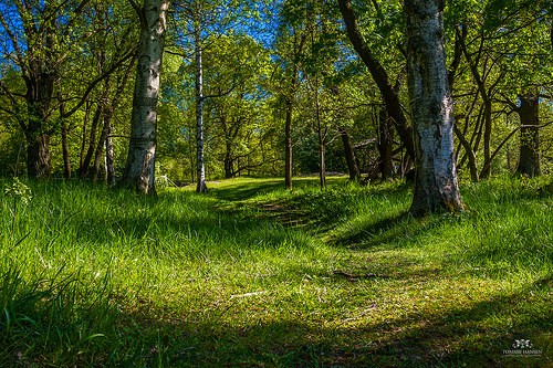  djurgarden