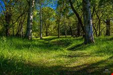  djurgarden