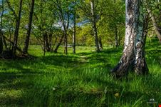  djurgarden
