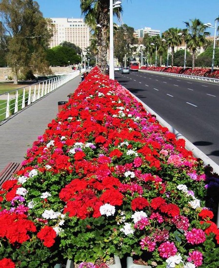 Puente de las Flores