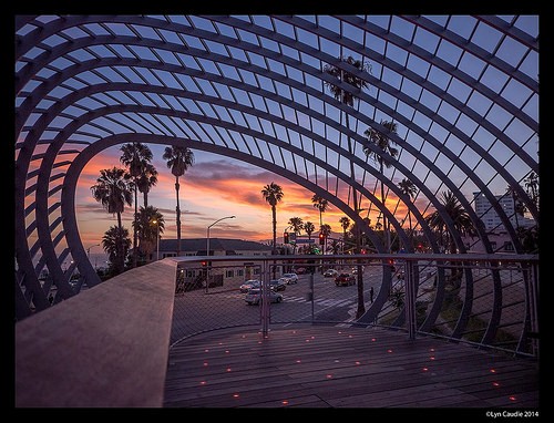  santa monica