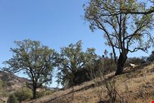  santa monica mountains national recreation area