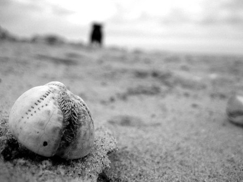  le spiagge