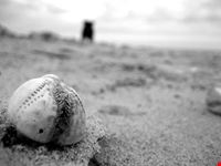  le spiagge