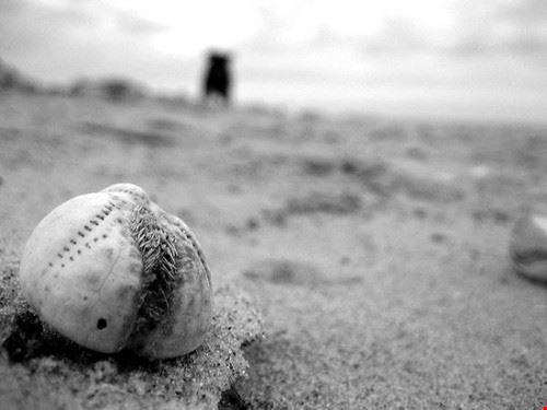  Skagen Thomas.B.P. - Attribution-NonCommercial-ShareAlike (http://creativecommons.org/licenses/by-nc-sa/2.0/) Thomas.B.P.