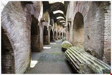  anfiteatro flavio