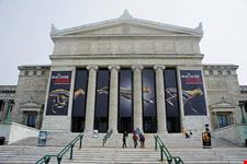  field museum of natural history