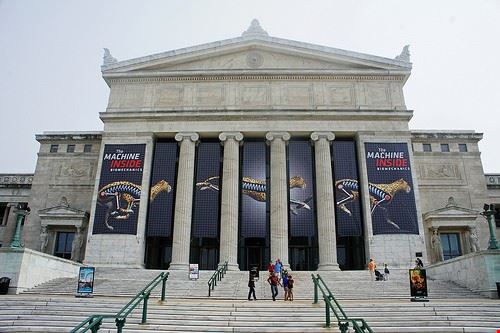 Field Museum of Natural History Chicago hyperion327 - Attribution-NonCommercial-ShareAlike (http://creativecommons.org/licenses/by-nc-sa/2.0/) hyperion327
