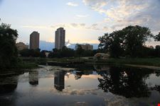  lincoln park