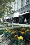  saks fifth avenue