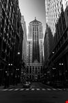  chicago board of trade