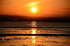  albufera
