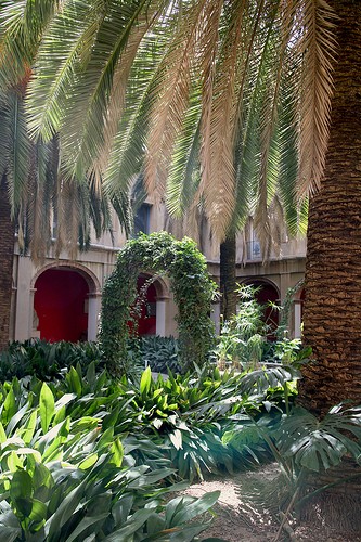  museo delle belle arti