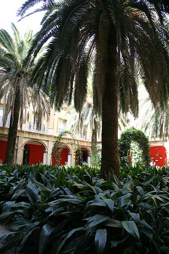  museo delle belle arti