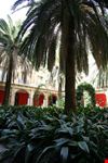  museo delle belle arti